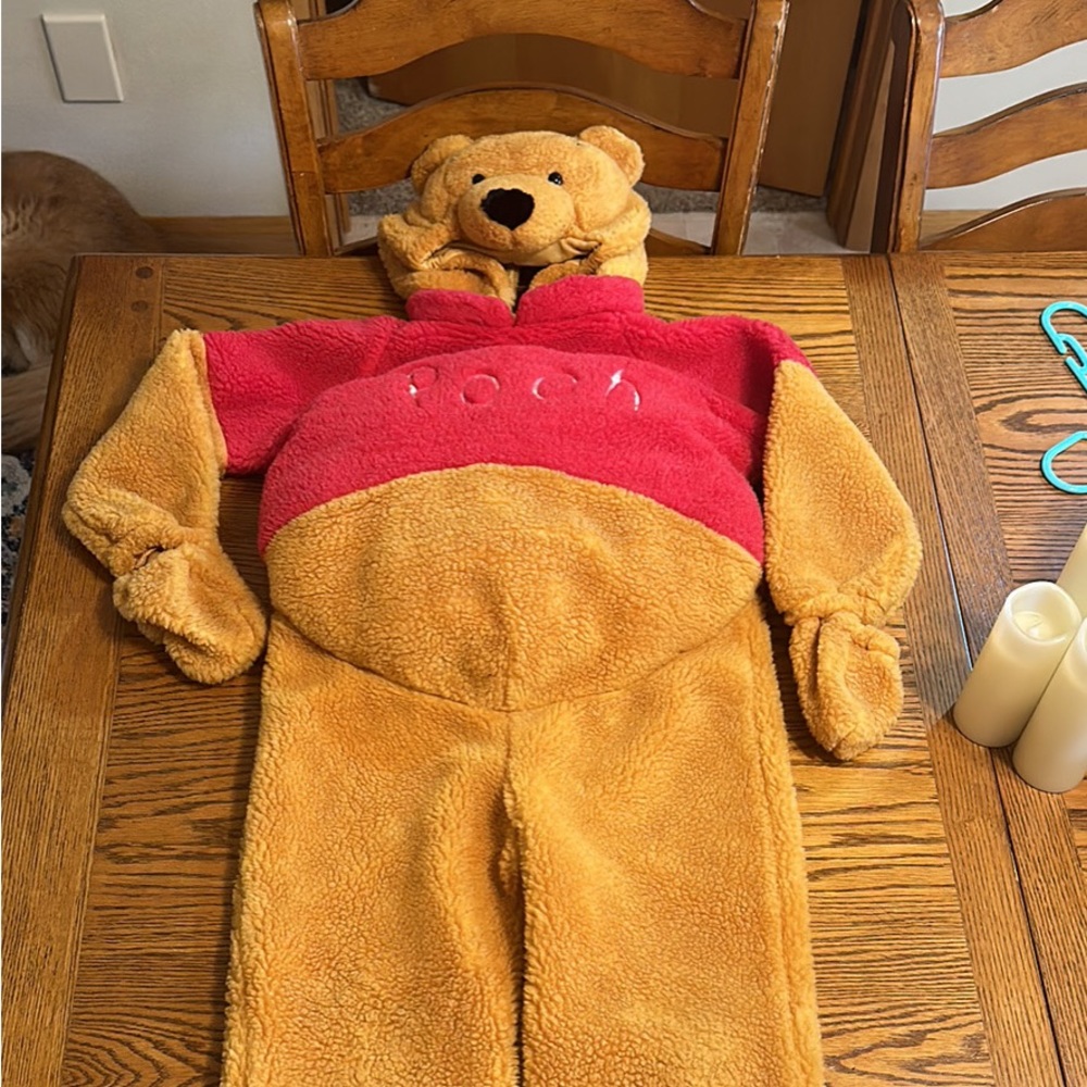 Winnie the Pooh Costume